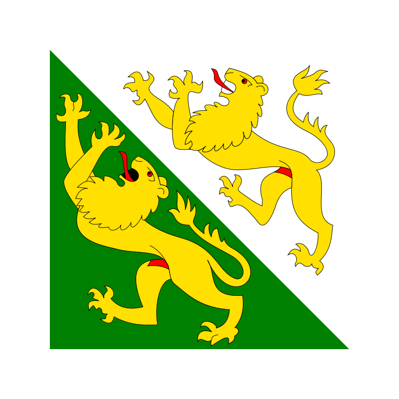 Kantonsfahne Thurgau - Thurgauer Fahne